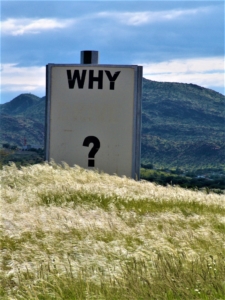 ken-treloar-346065-unsplash Finding my "why". Edge of a mountain range with a billboard that reads "WHY?"
